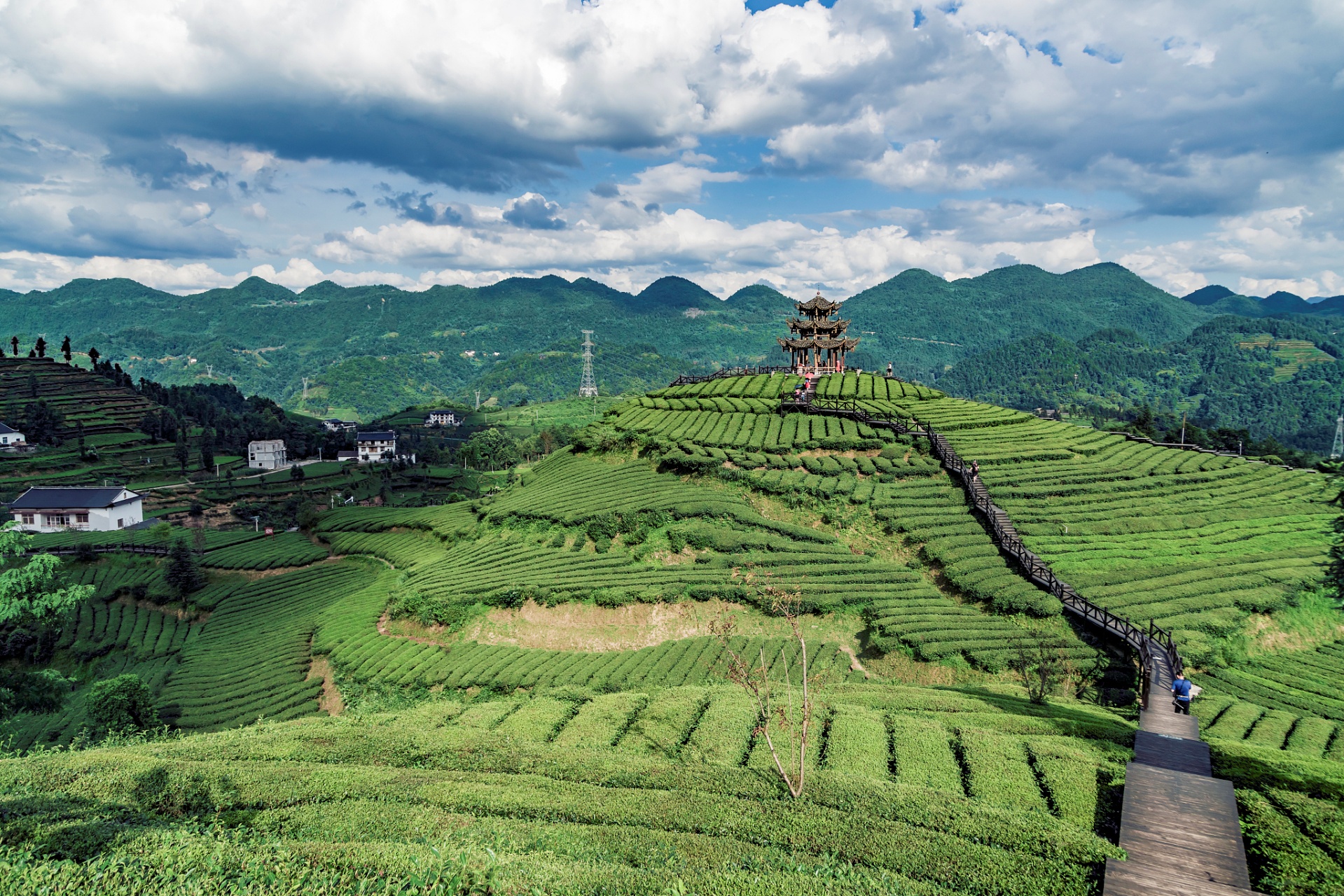Yannanfei Tea Plantation Scenic Area